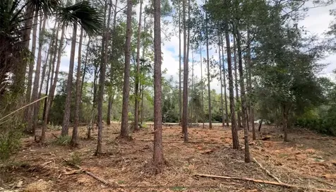 107 S Georgetown Point Road Georgetown FL 32139