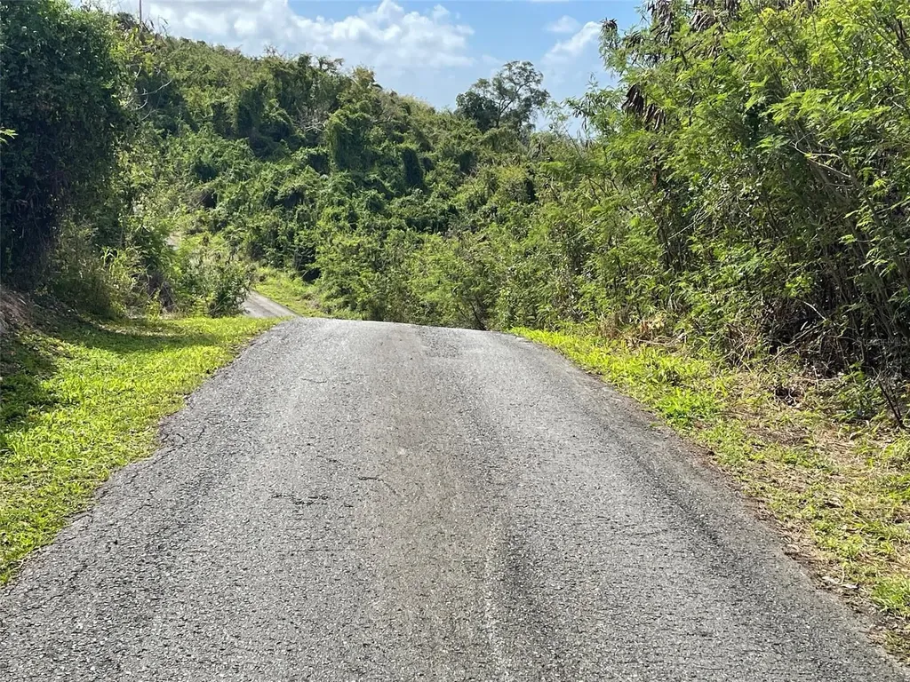S Lomas De Expreso Santa Isabel PR 00757