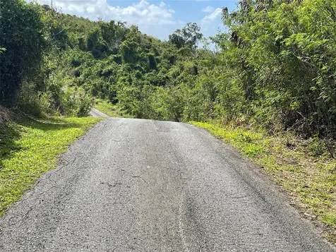 S Lomas De Expreso Santa Isabel PR 00757