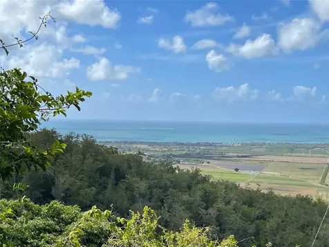 S Lomas De Expreso Santa Isabel PR 00757