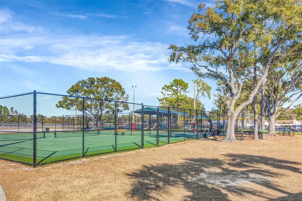 13247 Dupree Hills Place Riverview FL 33579