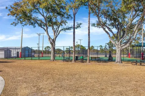13247 Dupree Hills Place Riverview FL 33579