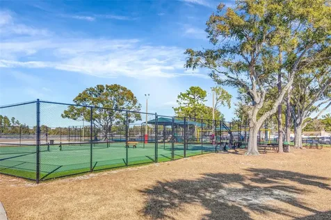 13247 Dupree Hills Place Riverview FL 33579