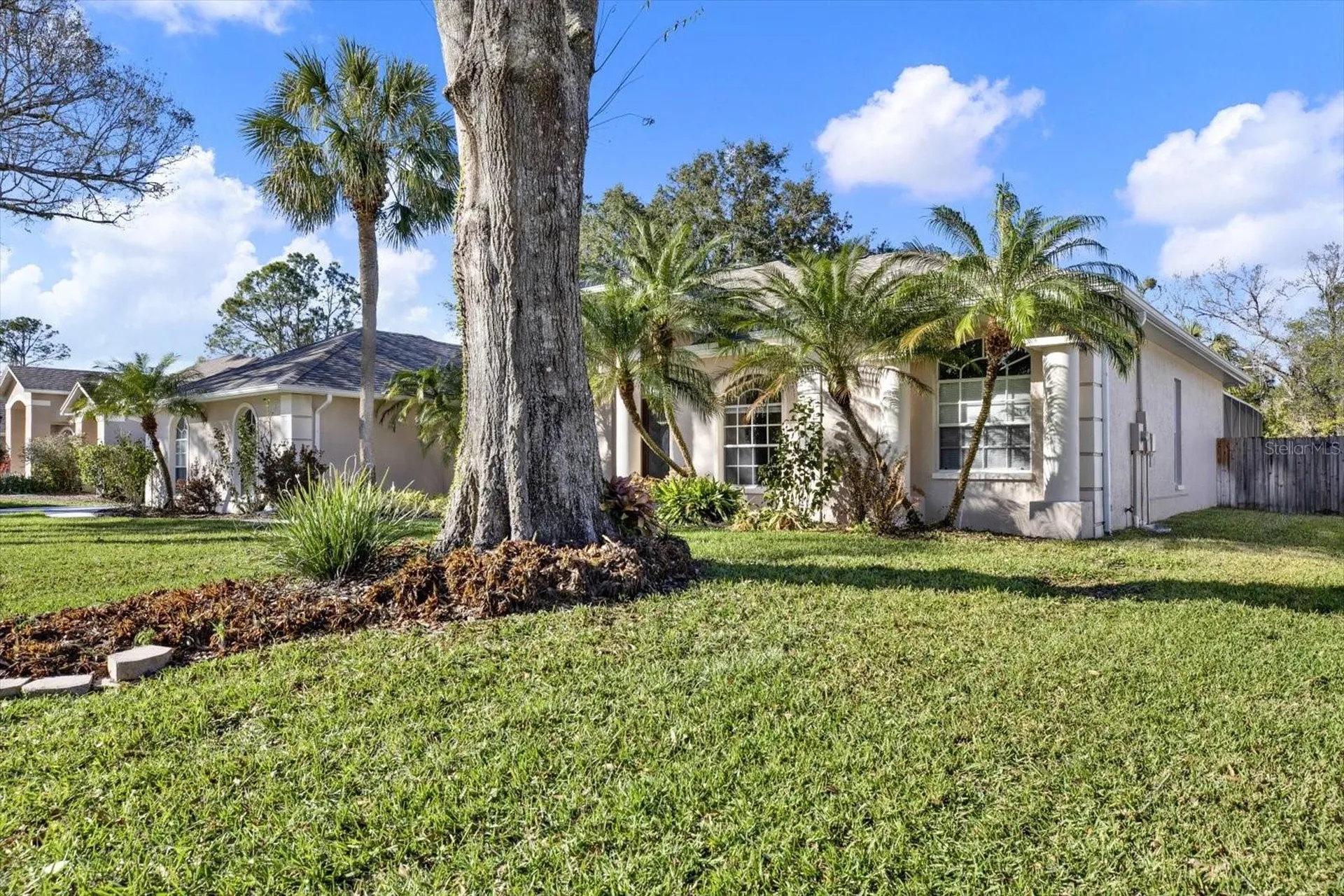 704 Fayette Place Lutz FL 33549