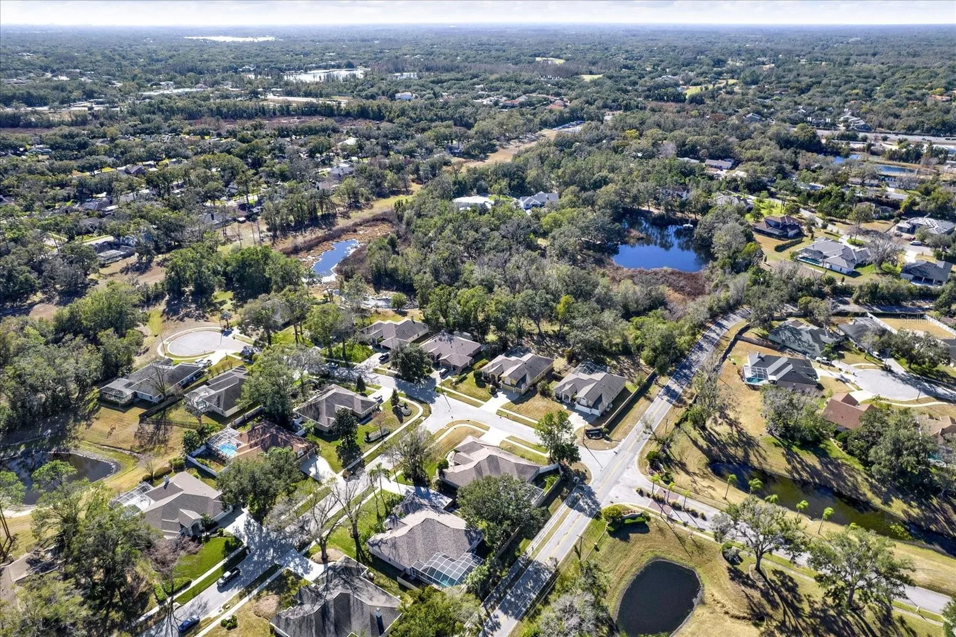 704 Fayette Place Lutz FL 33549