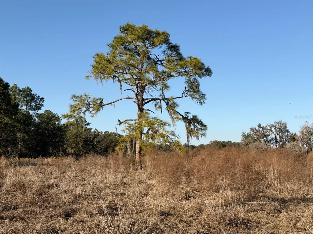 100AC NE Highway 17 Arcadia FL 34266