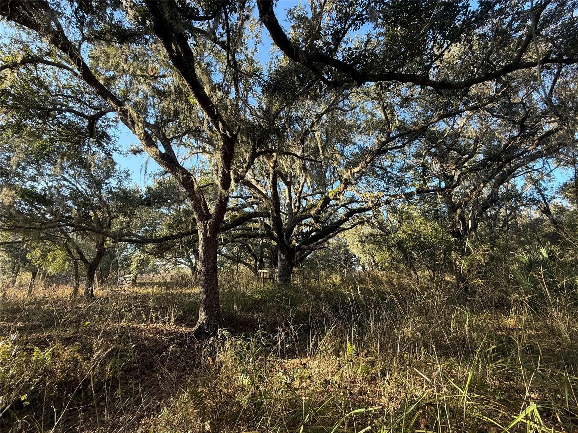 100AC NE Highway 17 Arcadia FL 34266