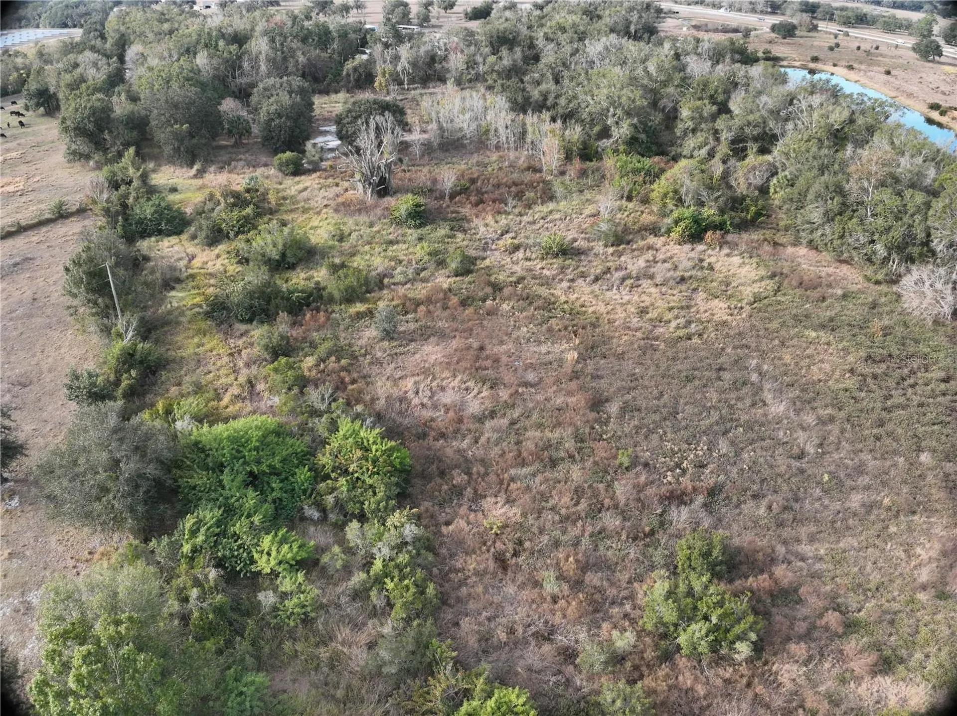 100AC NE Highway 17 Arcadia FL 34266