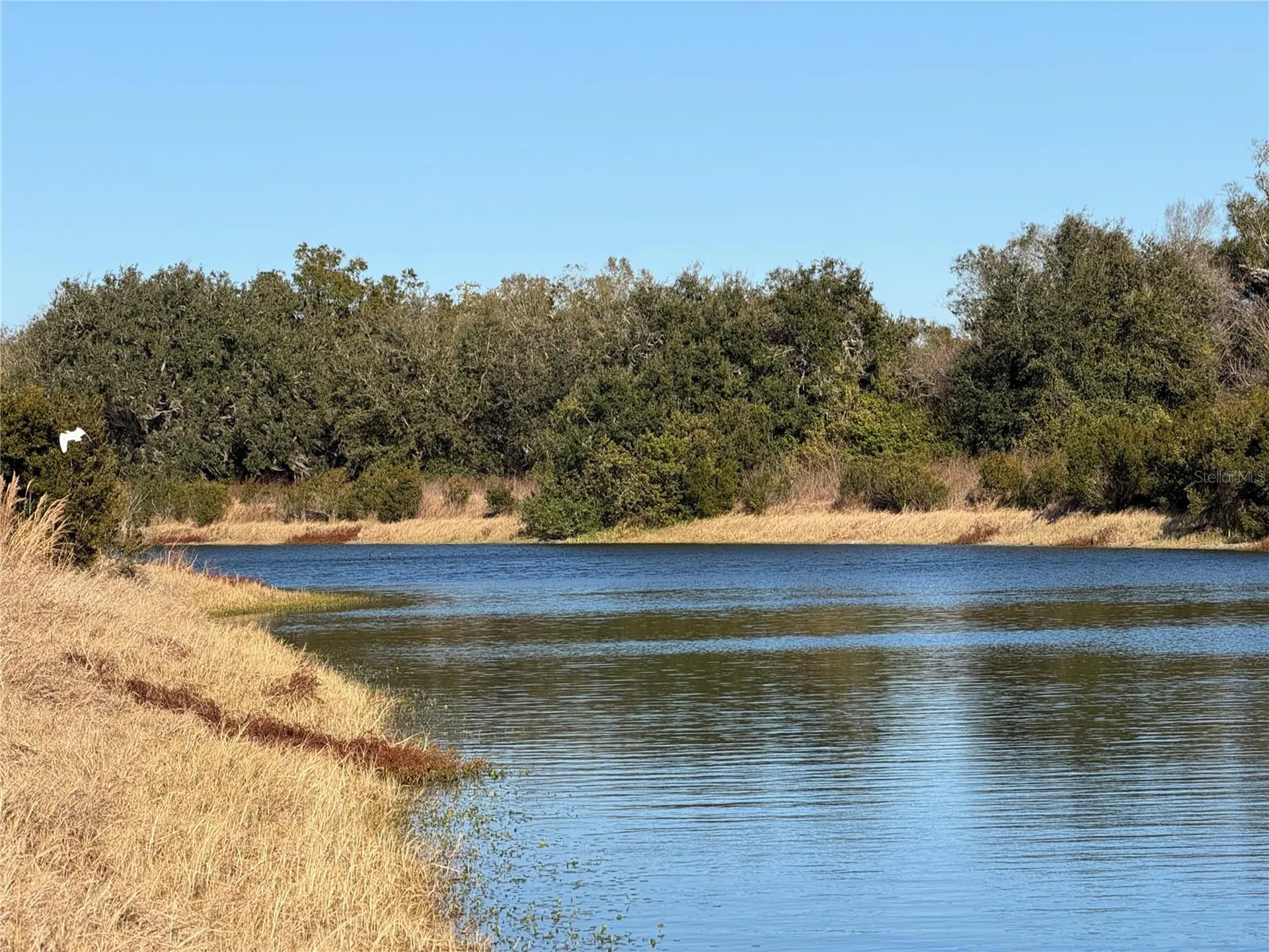 100AC NE Highway 17 Arcadia FL 34266