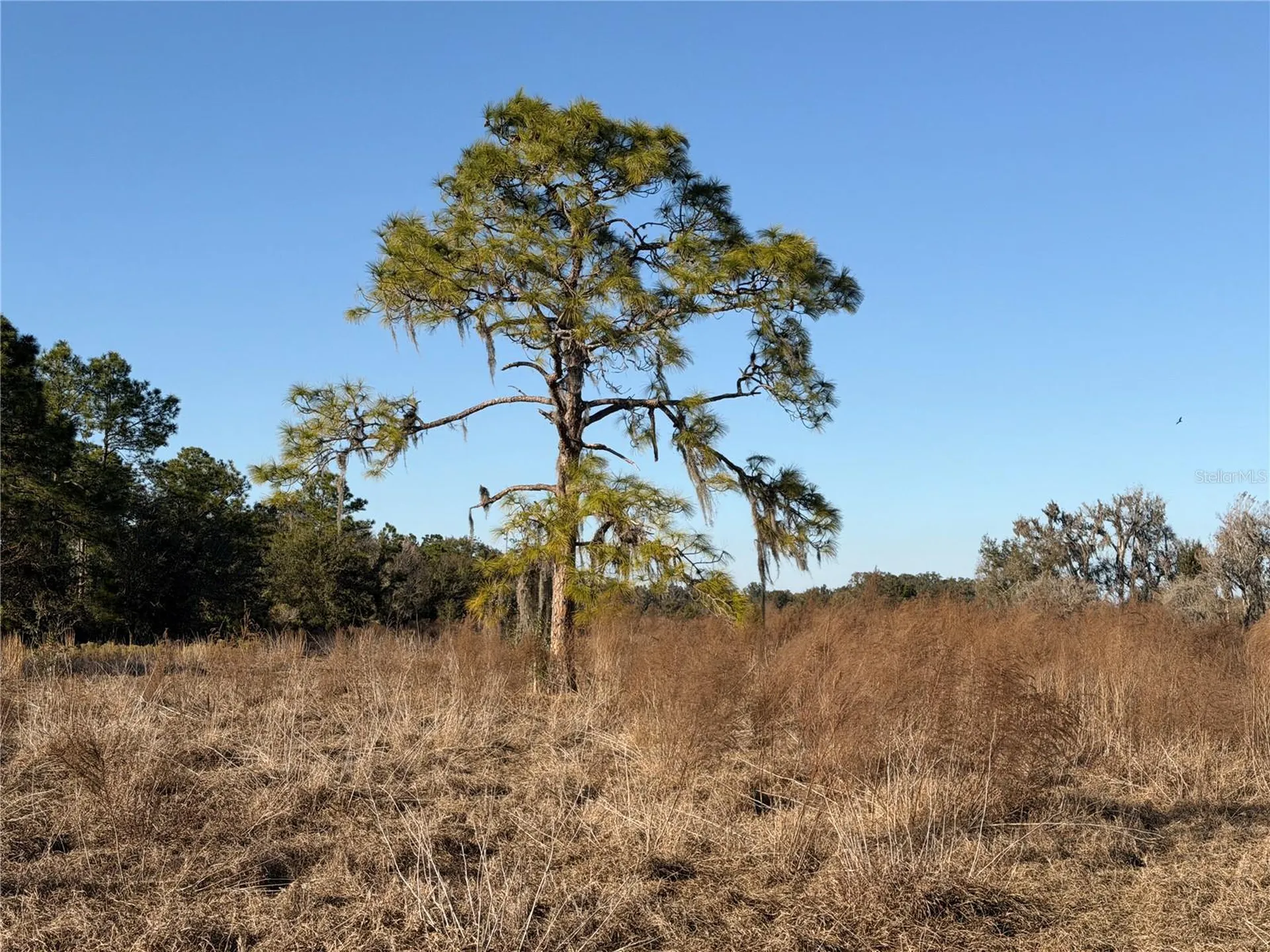 100AC NE Highway 17 Arcadia FL 34266