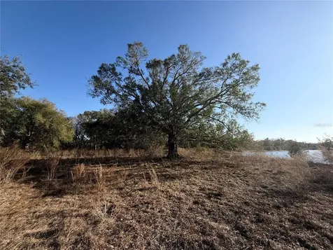 100AC NE Highway 17 Arcadia FL 34266