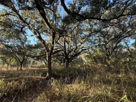 100AC NE Highway 17 Arcadia FL 34266