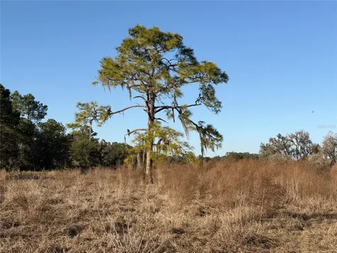 100AC NE Highway 17 Arcadia FL 34266