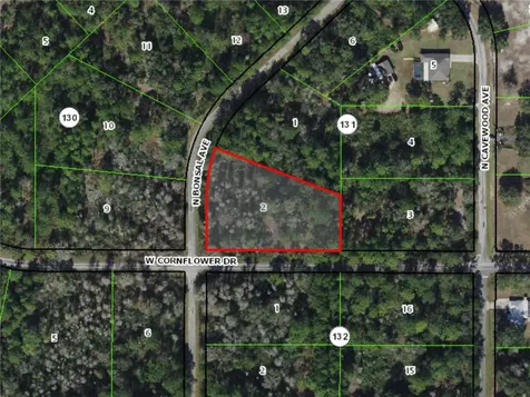 9474 N Bonsai Avenue Crystal River FL 34428