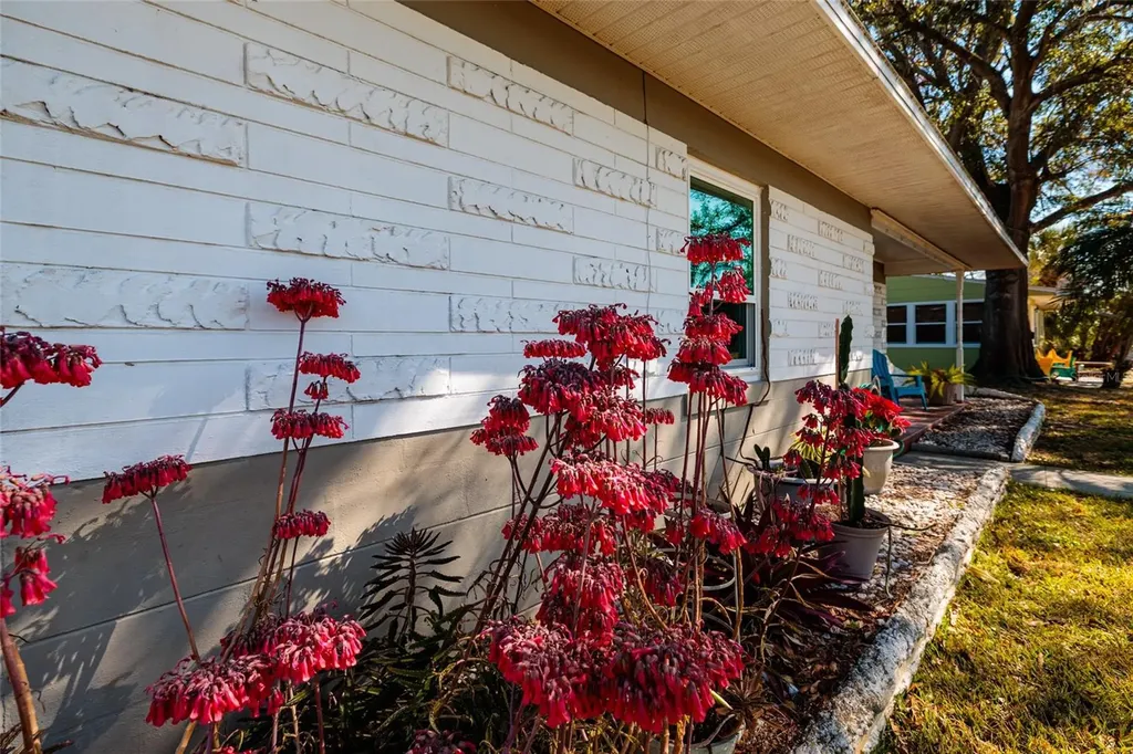 7201 Grevilla Avenue S South Pasadena FL 33707