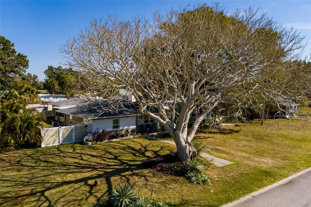 7201 Grevilla Avenue S South Pasadena FL 33707
