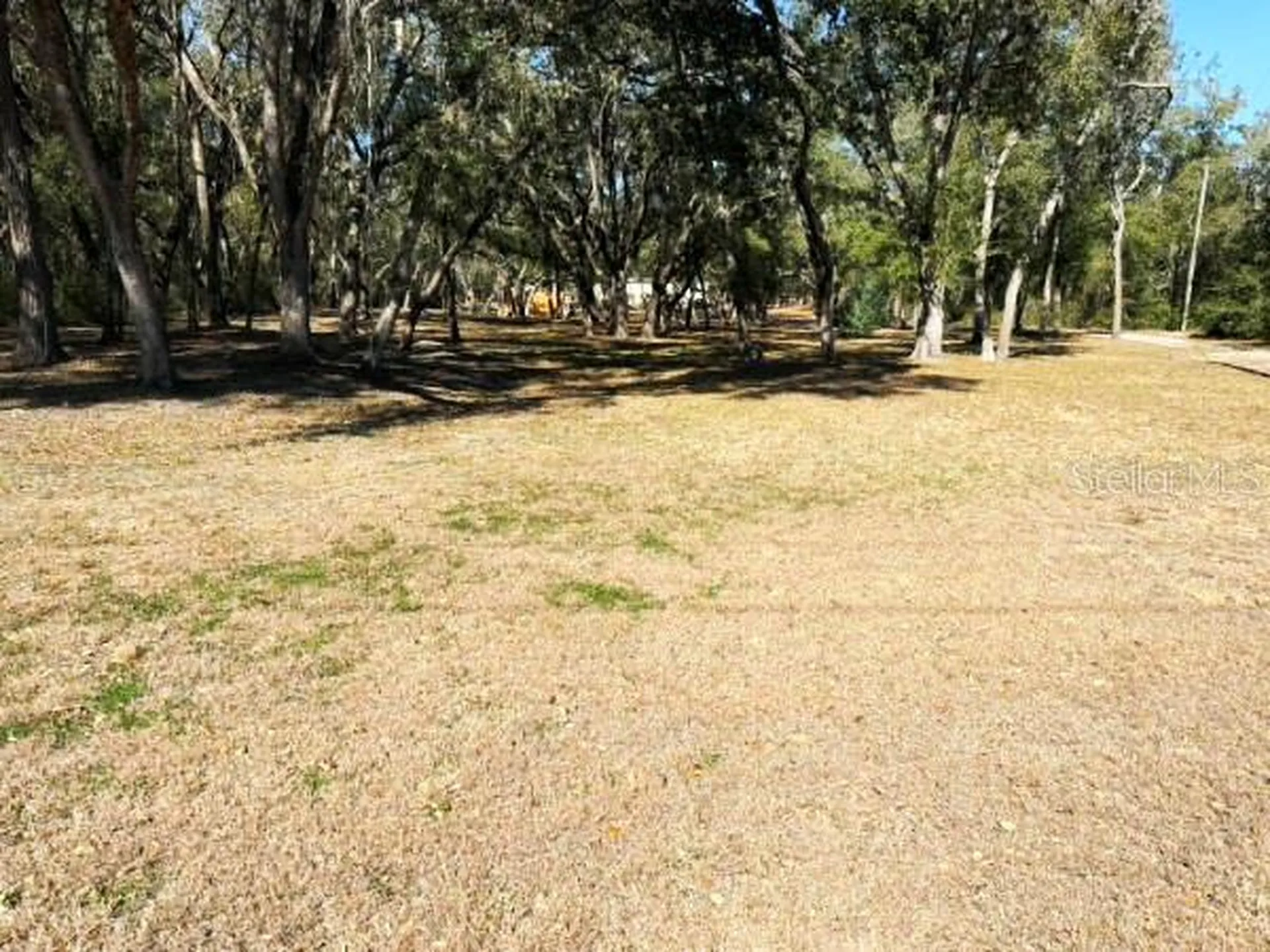 16347 Albright Road Spring Hill FL 34610