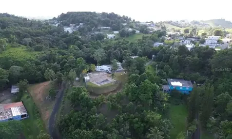 Bario Bayamon Cidra PR 00739
