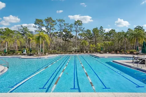 9609 Royal Fern Court Tampa FL 33647