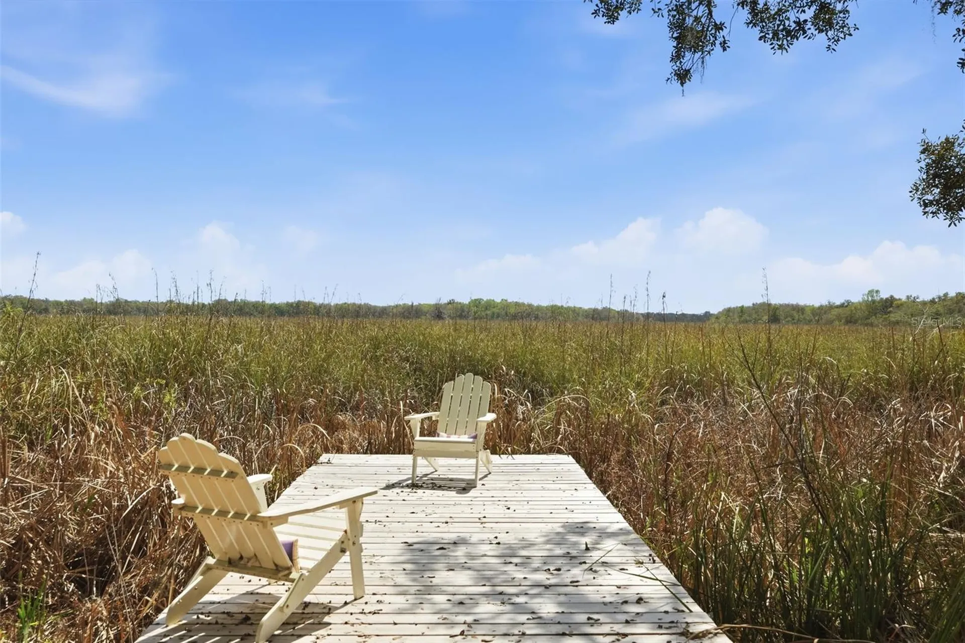 7570 E Ringer Court Inverness FL 34453