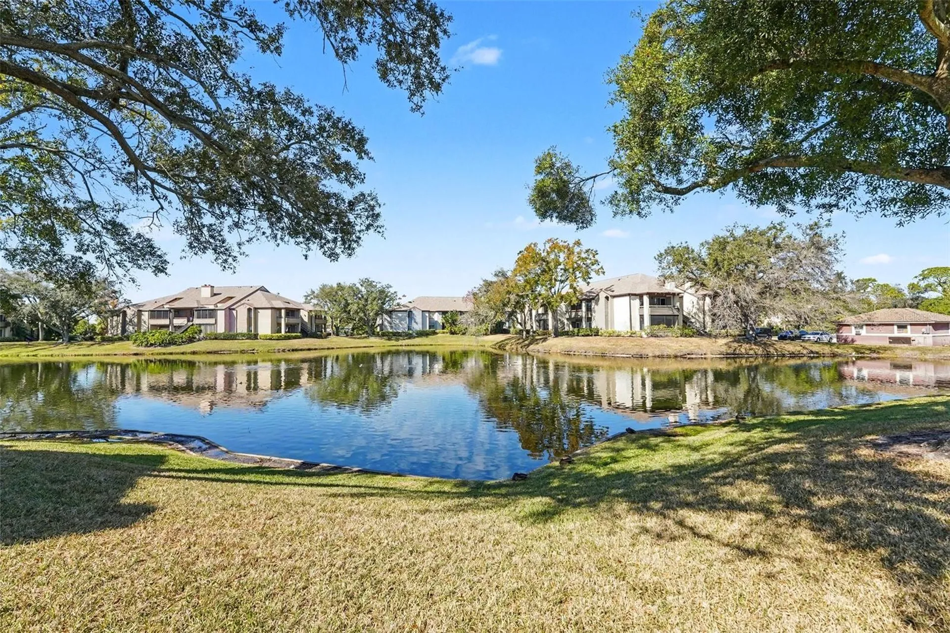 10265 Gandy Boulevard N St Petersburg FL 33702