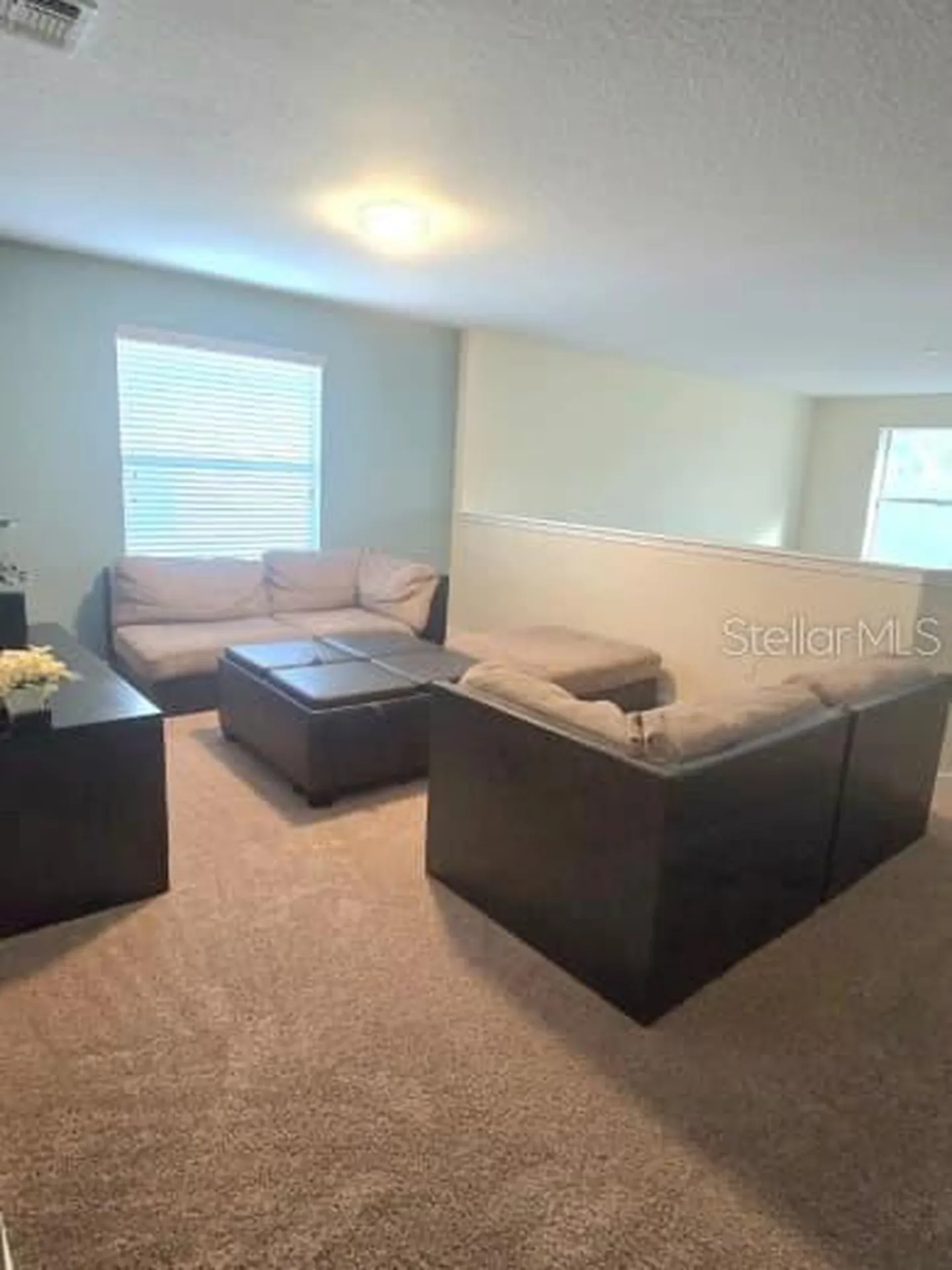 8923 Cuban Palm Road Kissimmee FL 34747