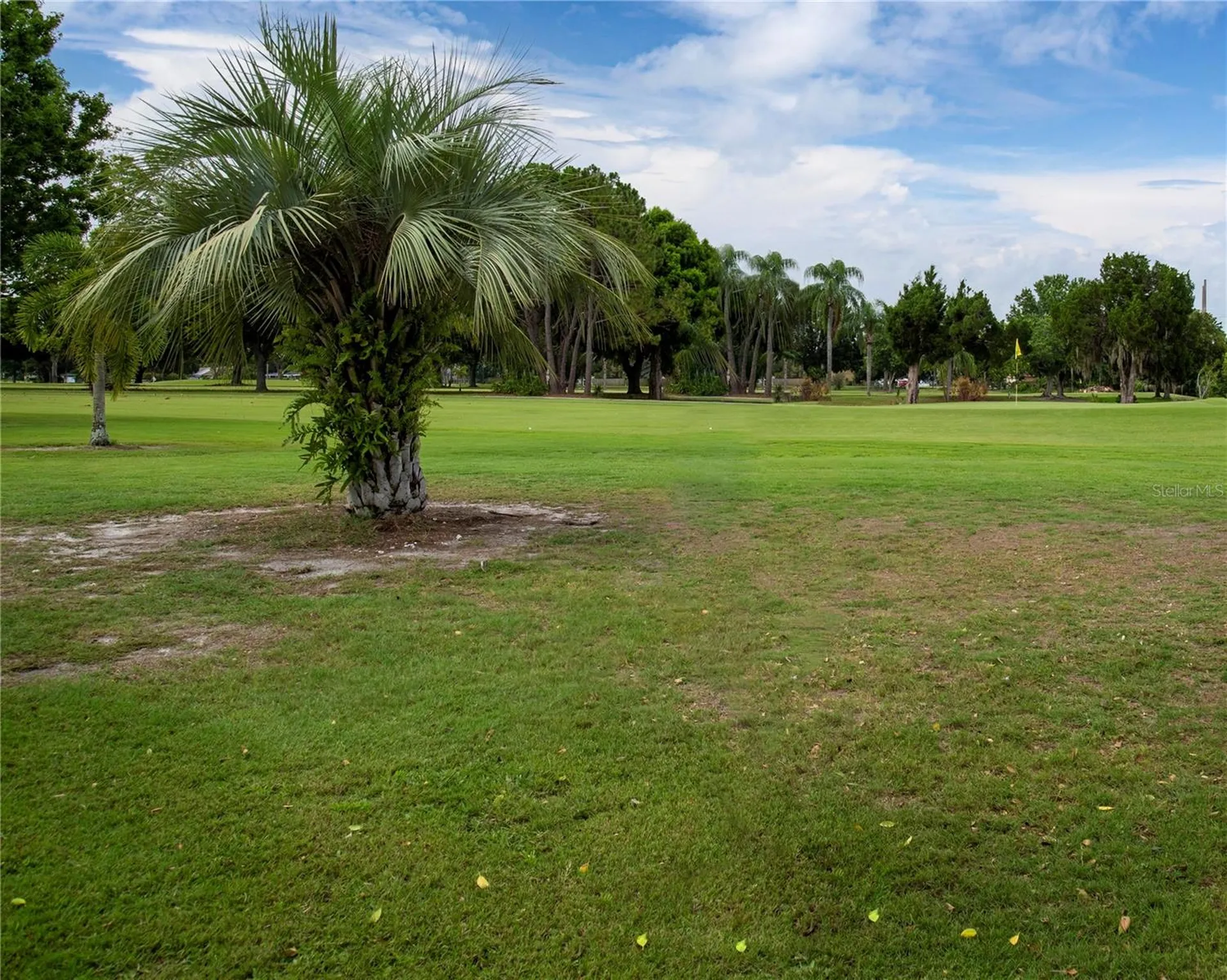 802 Buttonwood Drive Bradenton FL 34208