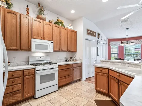 17835 SE 88th Grimball Avenue The Villages FL 32162