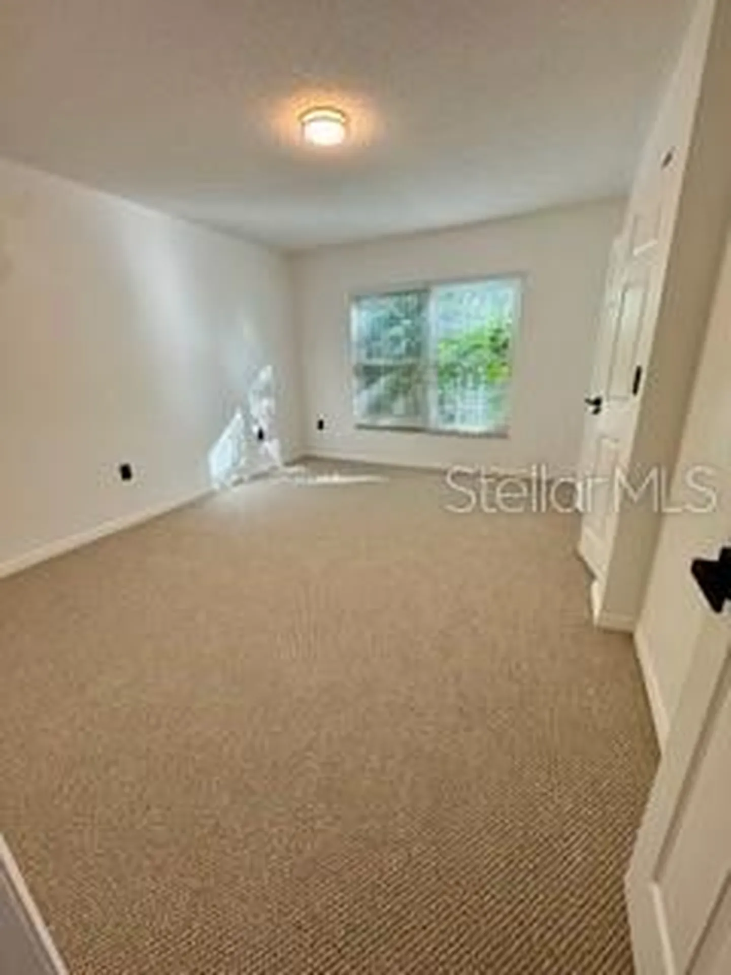 2462 Kingfisher Lane Clearwater FL 33762
