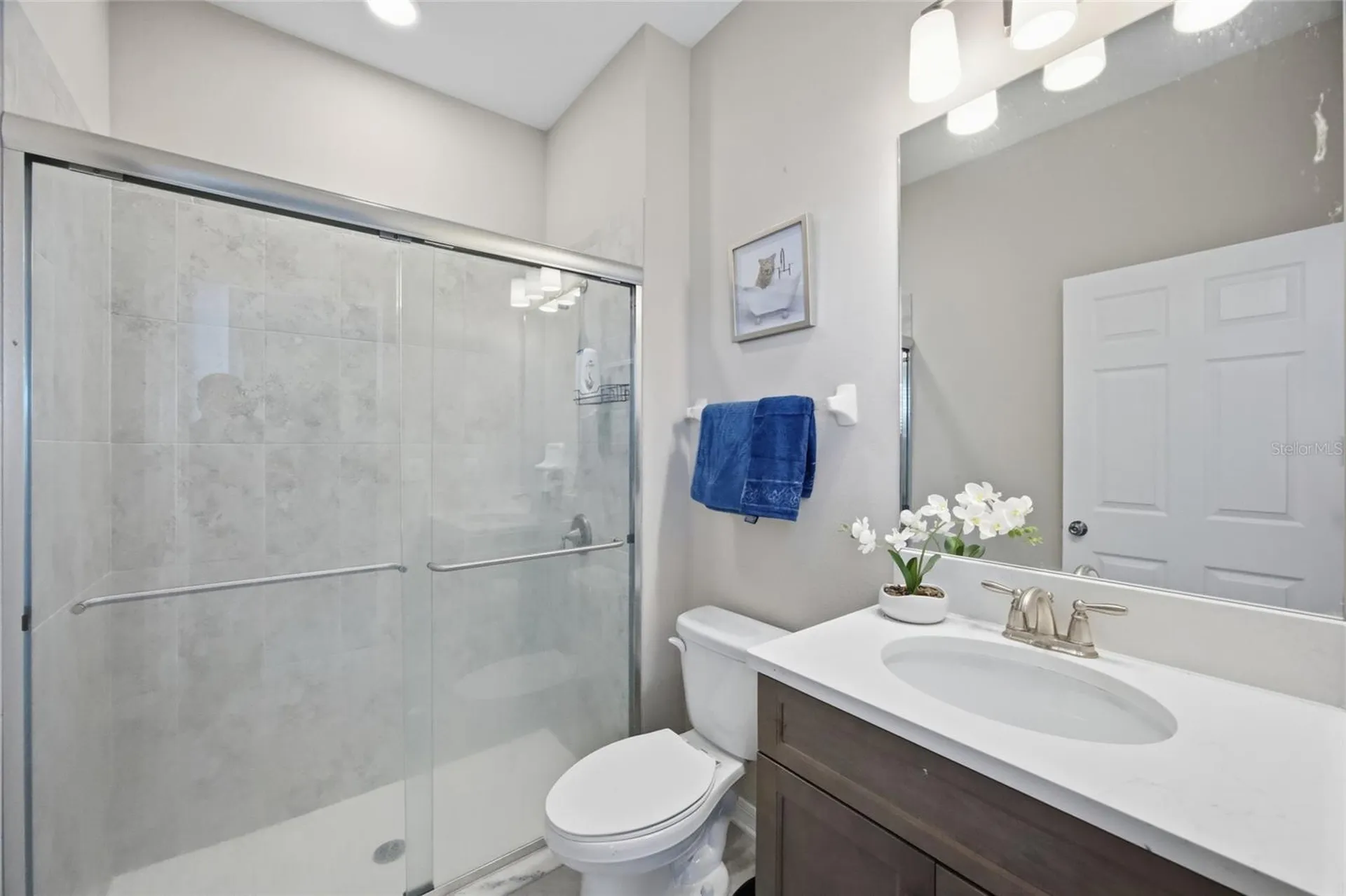 2909 Ivory Bluff Court Zephyrhills FL 33540