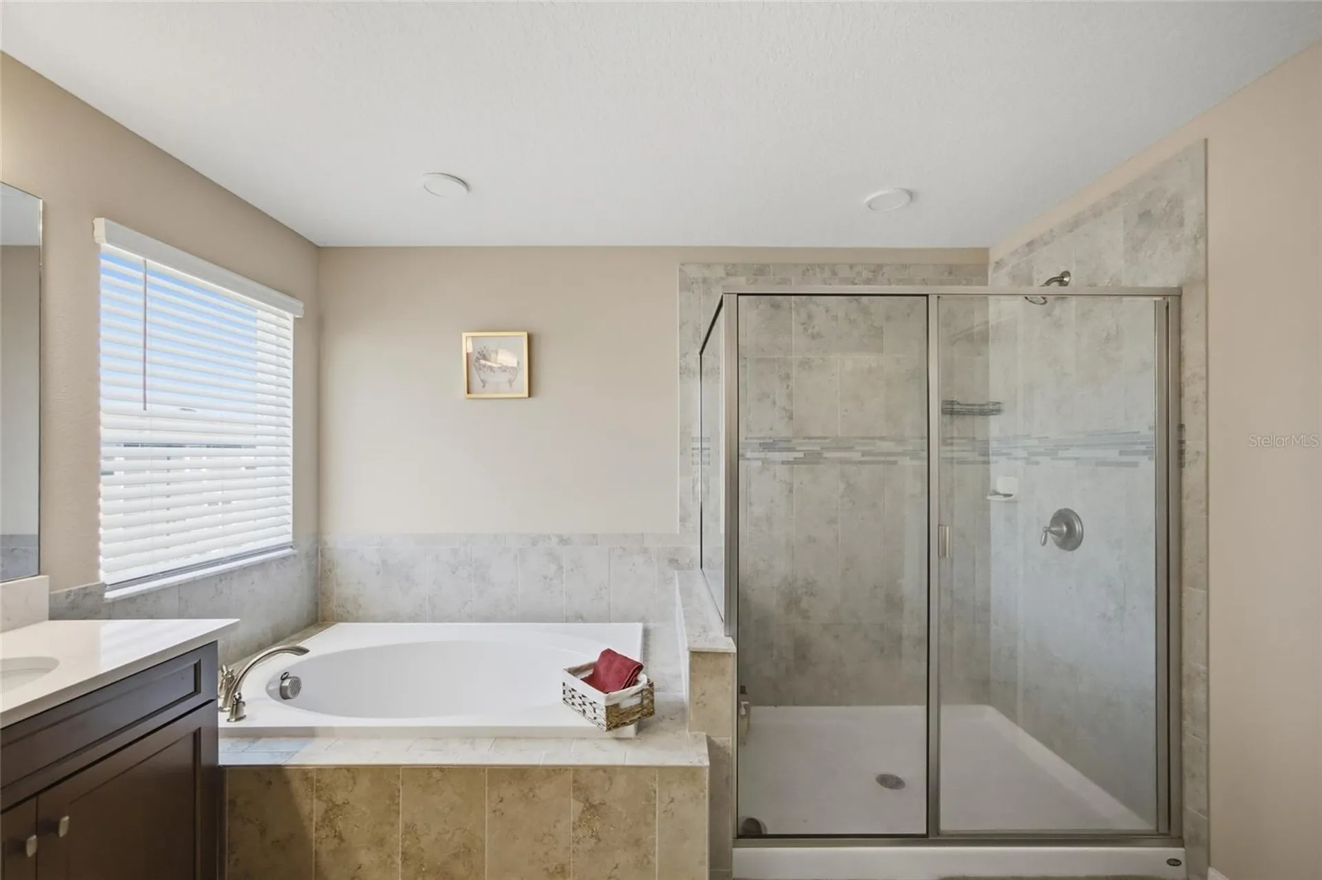 2909 Ivory Bluff Court Zephyrhills FL 33540