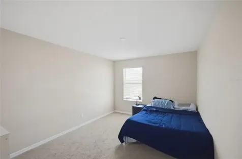 2909 Ivory Bluff Court Zephyrhills FL 33540