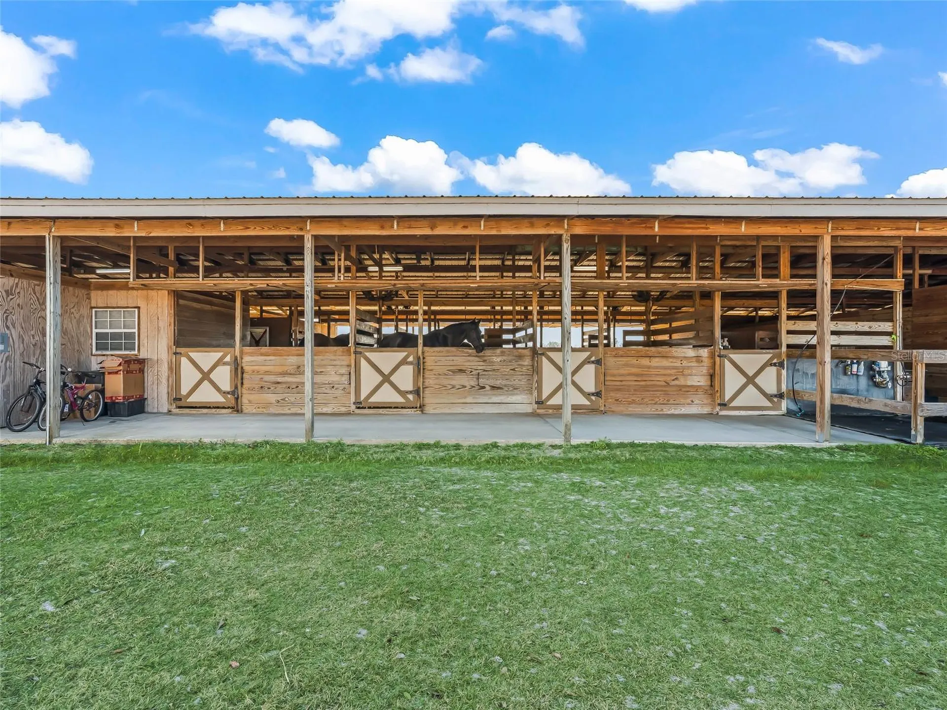 19830 SE 15th Place Morriston FL 32668