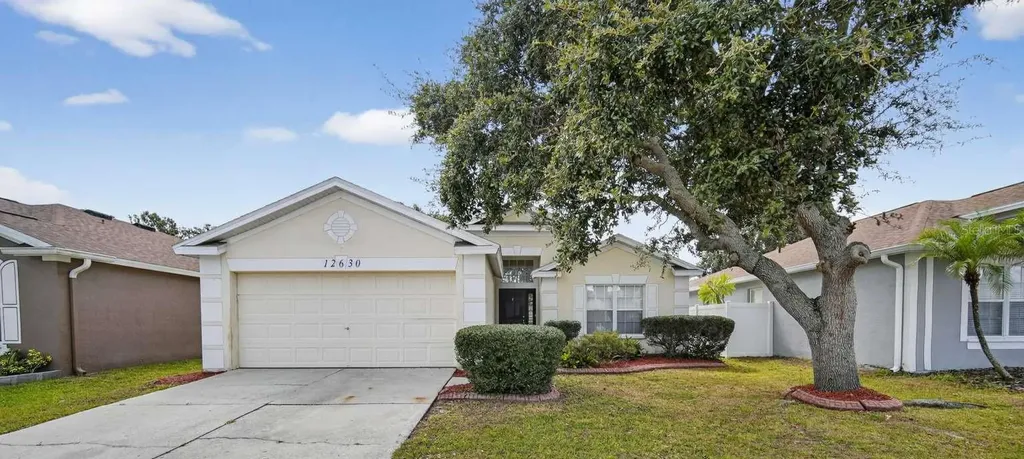 12630 Early Run Lane Riverview FL 33578