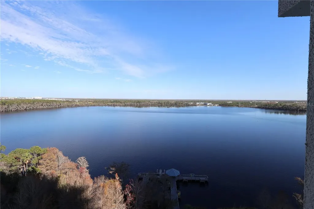 13415 Blue Heron Beach Drive Orlando FL 32821