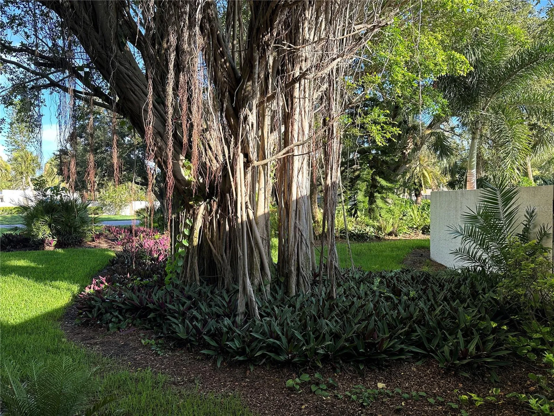 655 Woodlawn Drive Bradenton FL 34210