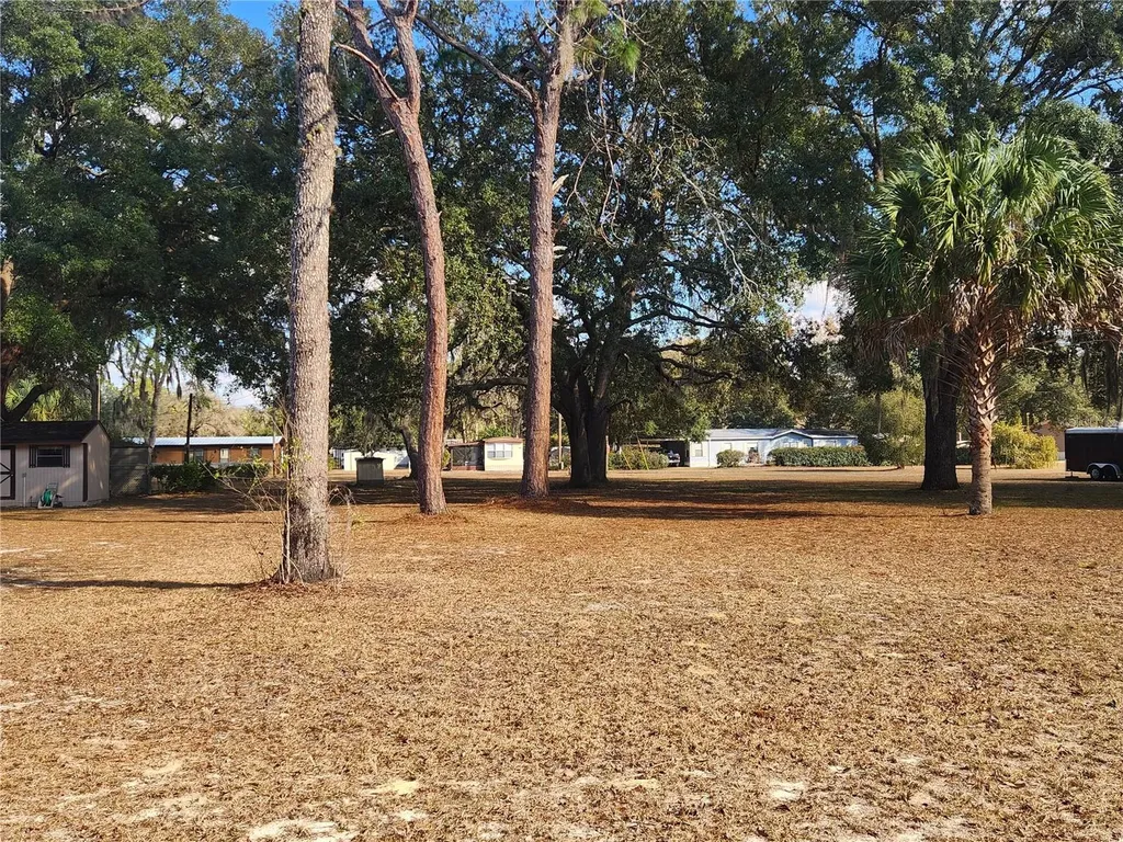 0000 NE 148th Court Fort Mc Coy FL 32134