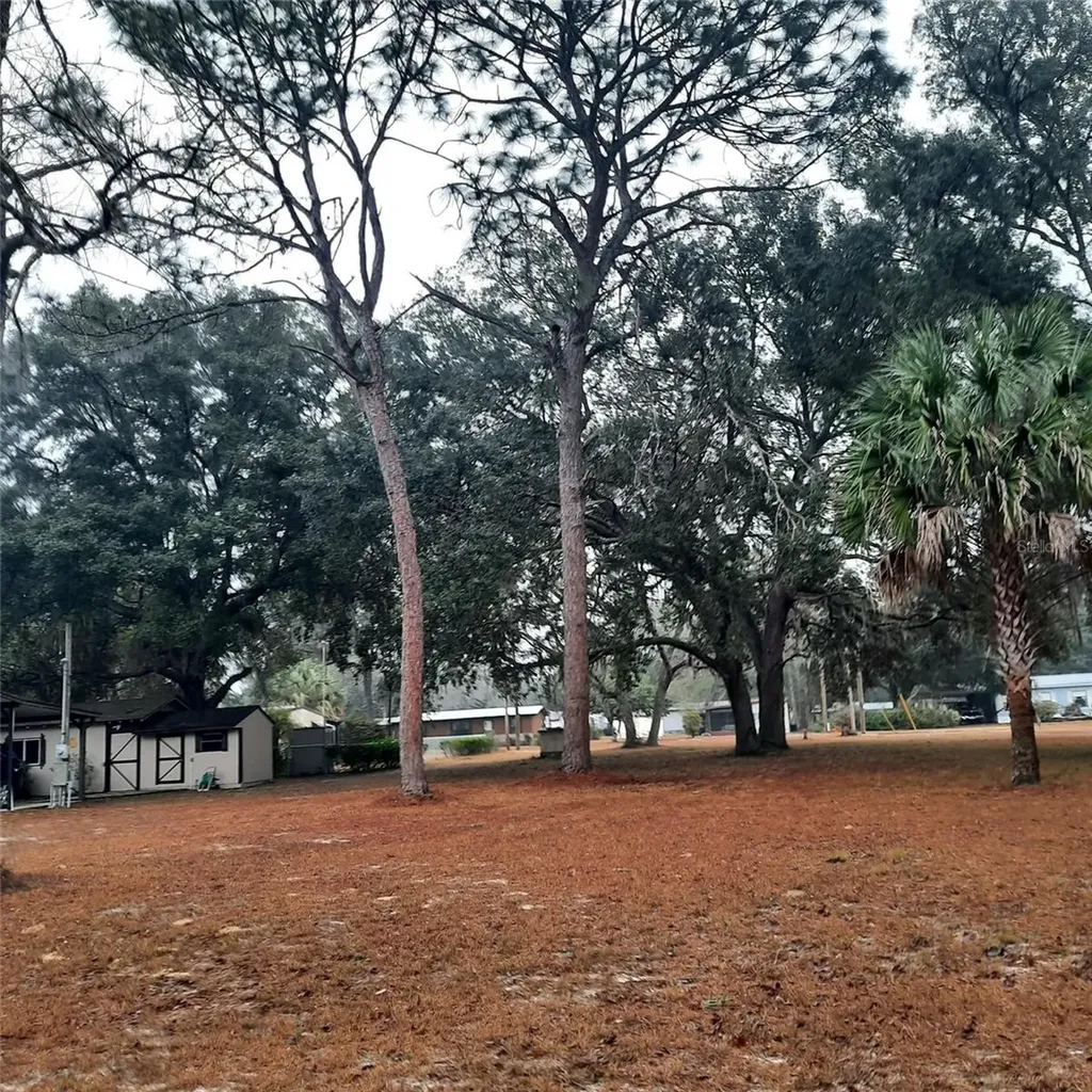 0000 NE 148th Court Fort Mc Coy FL 32134