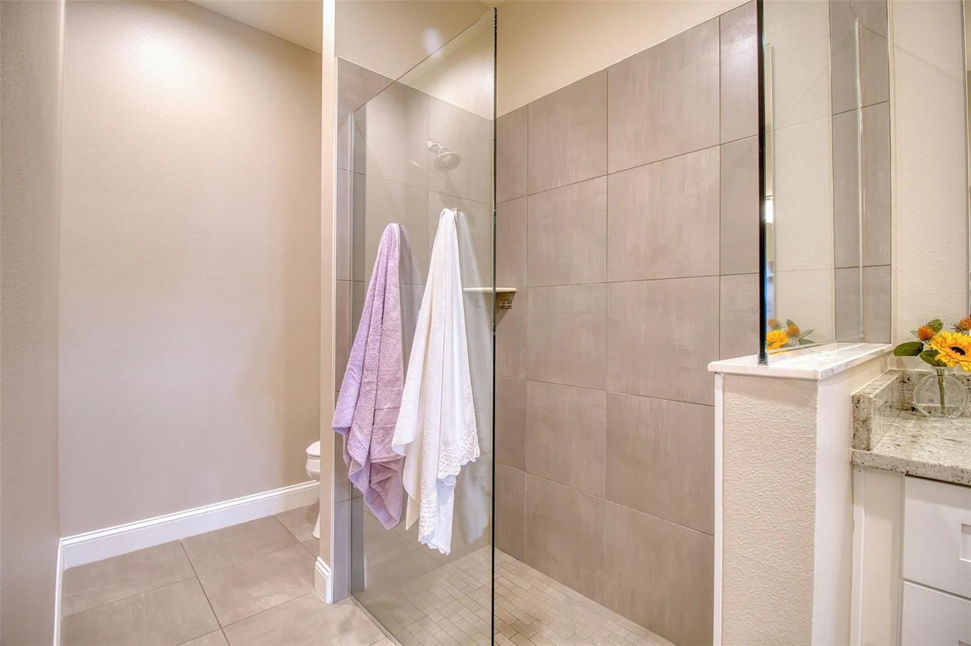 414 Birdsong Lane Dunedin FL 34698