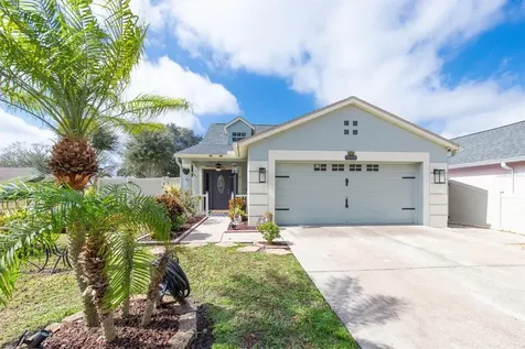 13102 Carrollwood Creek Drive Tampa FL 33624