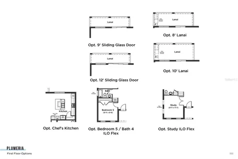 30277 Rustic Mill Street Mount Dora FL 32757