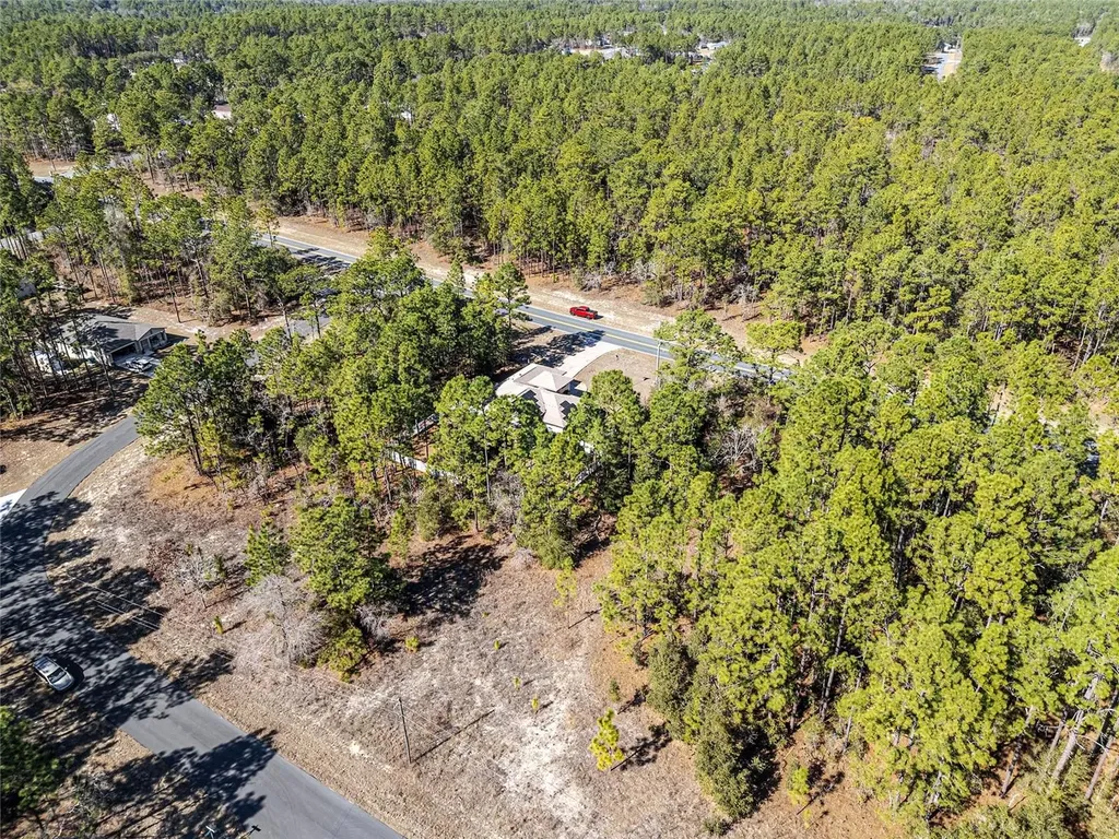 1198 W Citrus Springs Boulevard Citrus Springs FL 34434