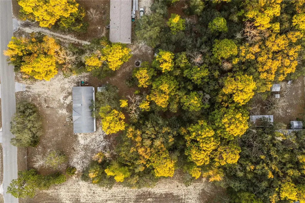 6072 W Patriot Street Homosassa FL 34448
