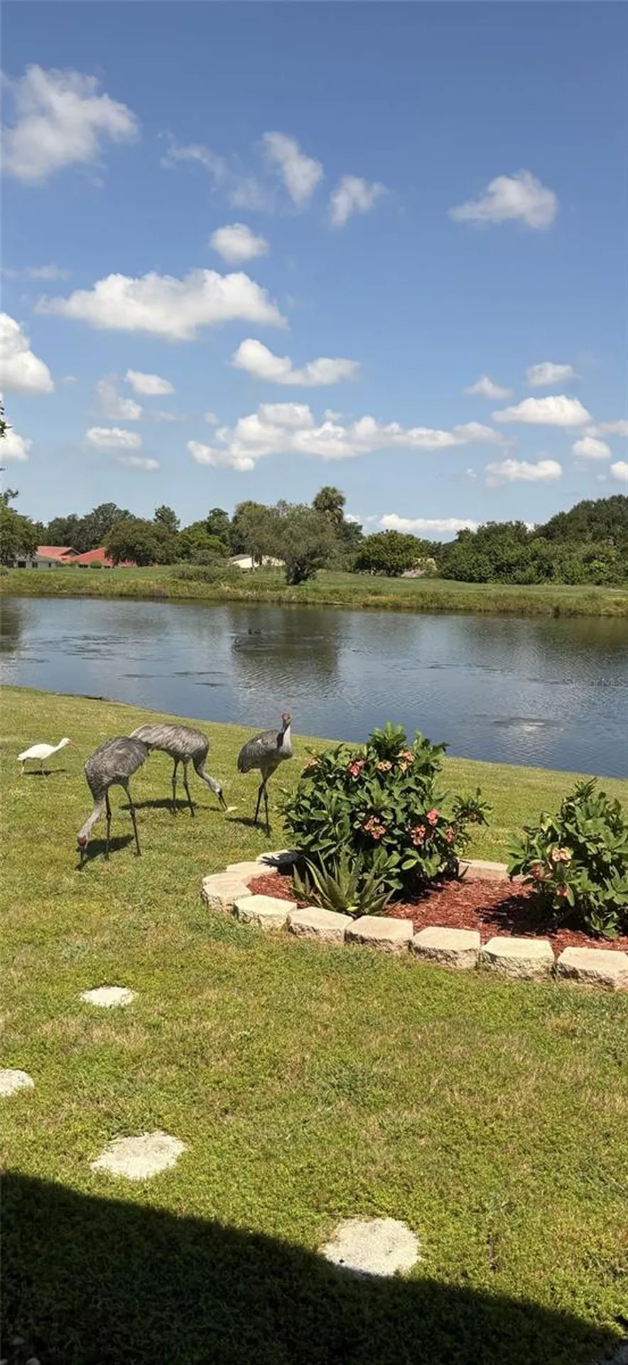 1723 Wolf Laurel Drive Sun City Center FL 33573