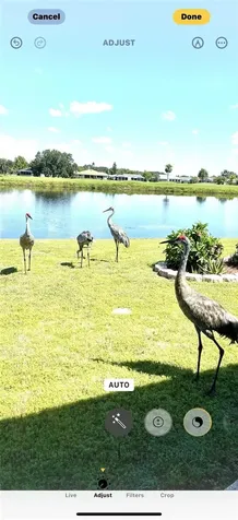 1723 Wolf Laurel Drive Sun City Center FL 33573