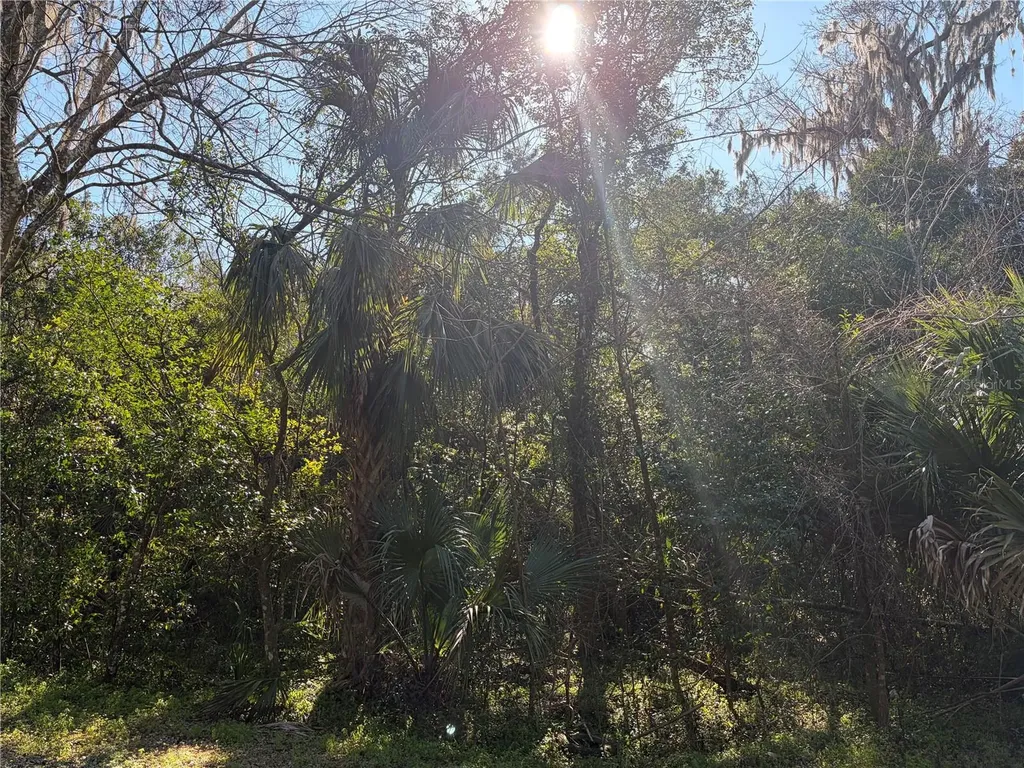 Lot 15 Quebec Avenue De Leon Springs FL 32130