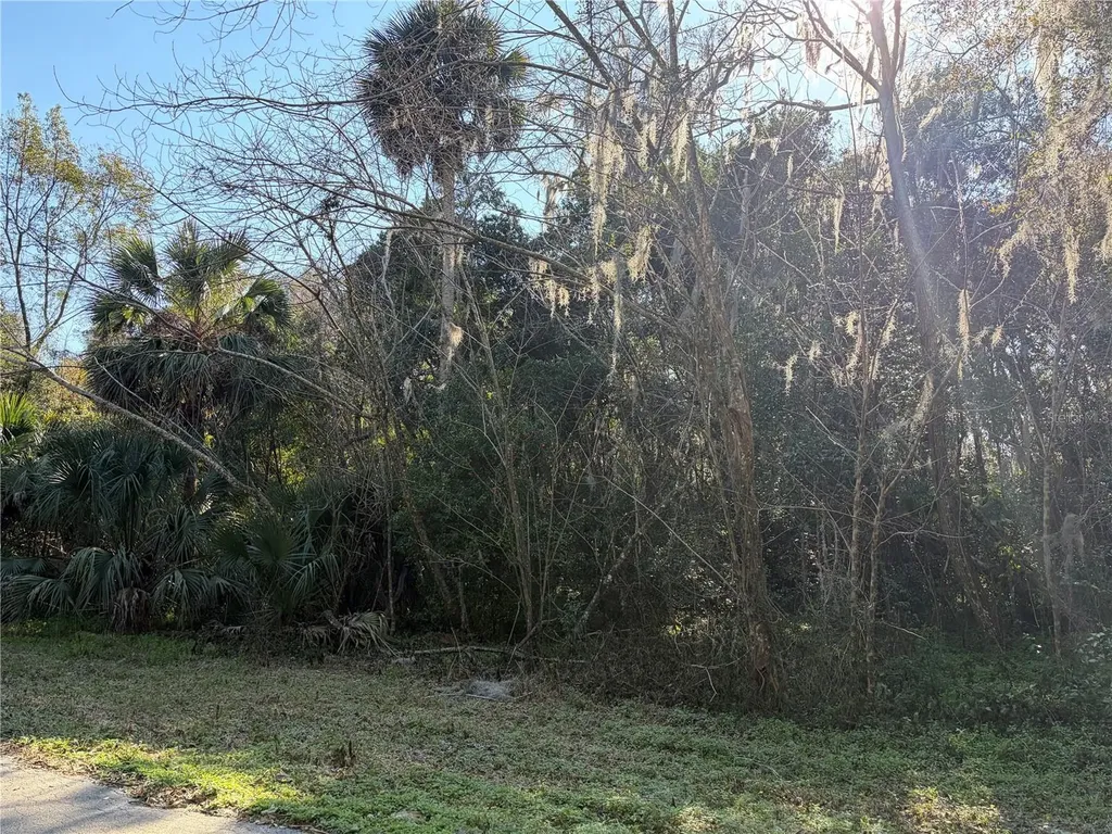 Lot 15 Quebec Avenue De Leon Springs FL 32130