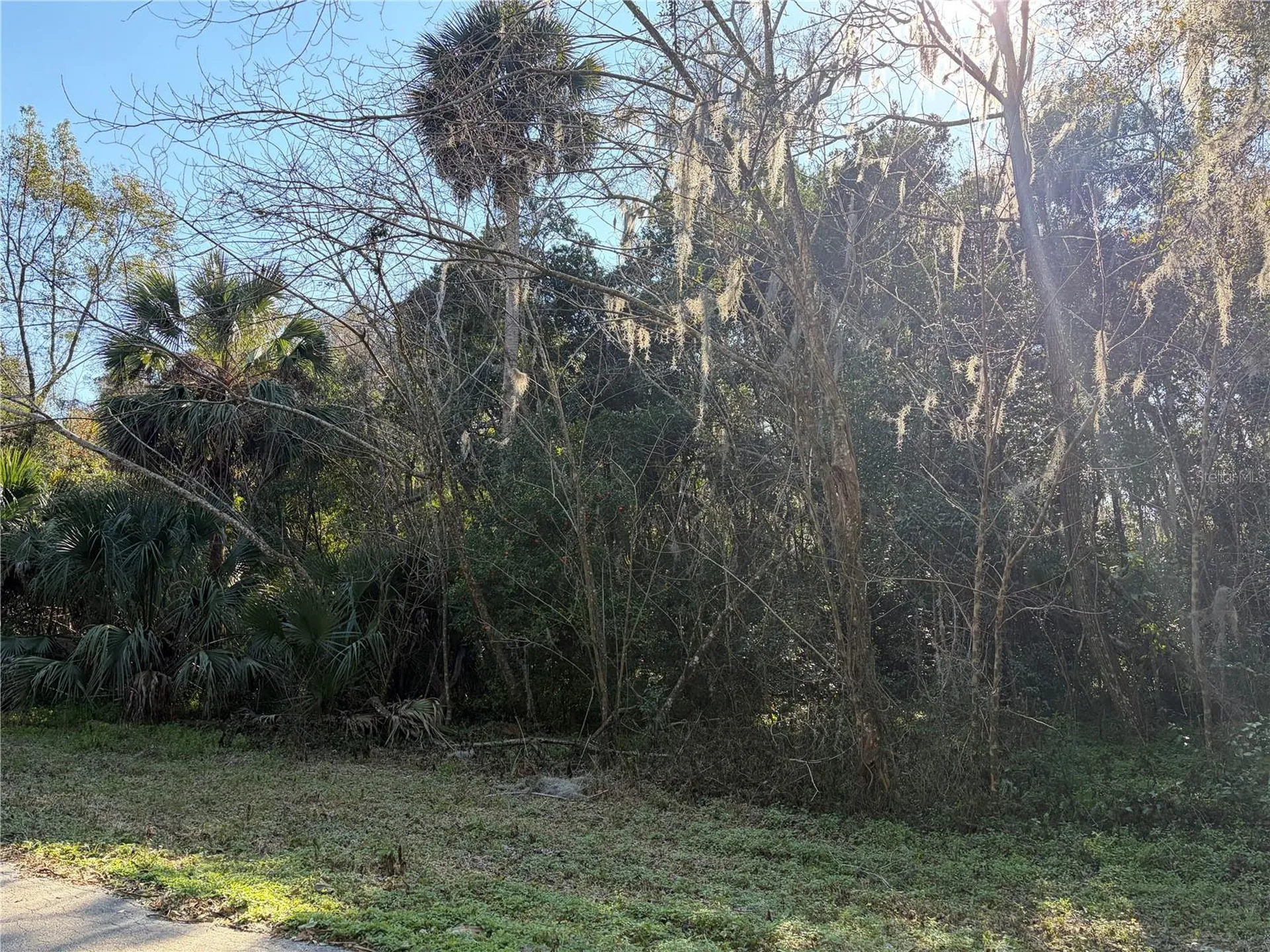 Lot 15 Quebec Avenue De Leon Springs FL 32130
