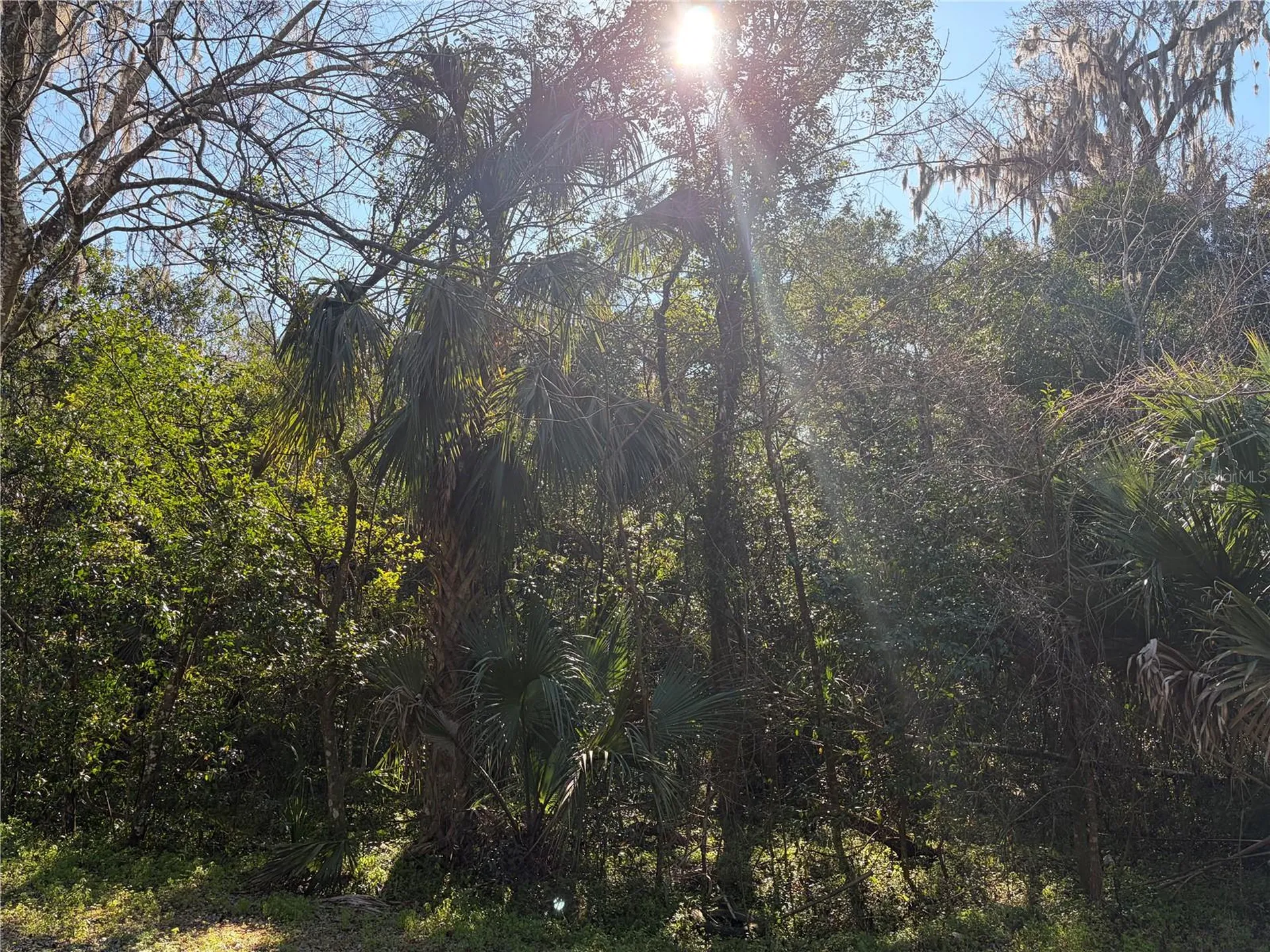Lot 13 Quebec Avenue De Leon Springs FL 32130