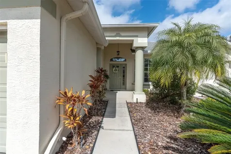 11429 Hidden Cove Court Trinity FL 34655